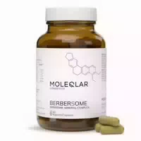 Moleqlar Berberine Mineral Complex Kapseln 60 St Kapseln