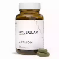 Moleqlar Spermidin Kapseln