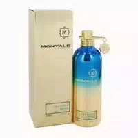 Montale Intense So Iris Edp Spray 0,1 L