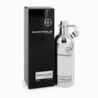 Montale Patchouli Leaves Eau De Parfum Spray 100ml für Frauen 0,1 l