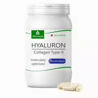 Moriveda Biocell Hyaluronsäure Collagen Ii