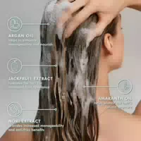 Anti Frizz Shampoo Frizz Control Shampoo Volumen: