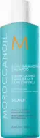 Moroccanoil Scalp Ausgleichendes Shampoo Für Die Kopfhaut Scalp Scalp Balancing Shampoo 250 Ml