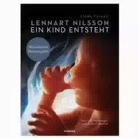 Ein Kind Entsteht 1 St