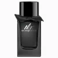 Mr Burberry E D P Nat Spray