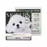 Mr Wish Modern Time Series Glue Free False Eyelashes 48pcs Rich Meow