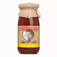 Dirty Harry Hot Curry Sauce Bio 250 ml
