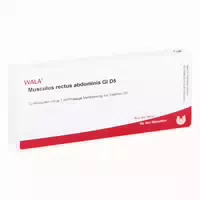 Musculus Rectus Abdominis Gl D5 Ampullen