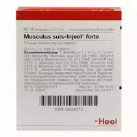 Musculus Suis Injeel Forte Ampullen