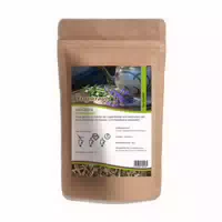 Mynatura Ysopkraut