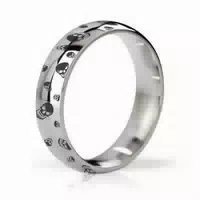 Mystim His Ringness Earl Polished & Engraved 51mm