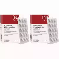N1 Blähungen & Völlegefühl Kapseln Natürliche Mineralerden Simeticon
