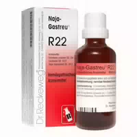 Naja Gastreu R22 Tropfen zum Einnehmen