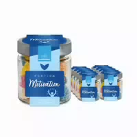 Naschlabor 8 Gläser Fruchtgummi Portion Motivation Groß Verpackung