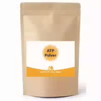 Natürlich Lang Leben Atp Pulver
