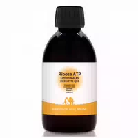 Natürlich Lang Leben Liposomales Coenzym Q10 Ribose Atp