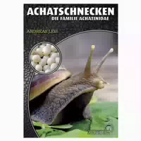Achatschnecken
