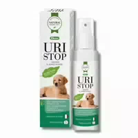 Uri Stop Dog