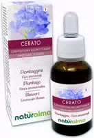 Naturalma Bleiwurz Ceratostigma Willmottianum Tropfen