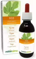 Naturalma Feige Ficus Flüssig