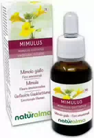 Naturalma Gefleckte Gauklerblume Mimulus Guttatus Tropfen 30 ml