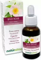 Naturalma Heckenrose Rosa Canina Tropfen