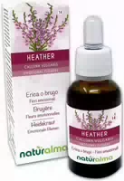 Naturalma Heidekraut Calluna Vulgaris Tropfen
