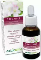 Naturalma Holzapfel Malus Pumila Tropfen