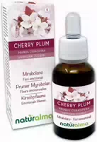 Naturalma Kirschpflaume Prunus Cerasifera Tropfen