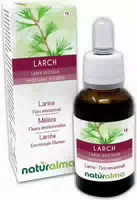 Naturalma Lärche Larix Decidua Tropfen