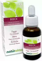 Naturalma Rotbuche Beech Tropfen 30 ml