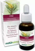 Naturalma Schottische Kiefer Pinus Sylvestris Tropfen