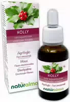 Naturalma Stechpalme Ilex Aquifolium Tropfen