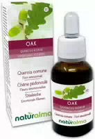 Naturalma Stieleiche Quercus Robur Var Pedunculata Tropfen 30 ml