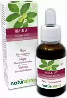 Naturalma Walnuss Juglans Regia Tropfen