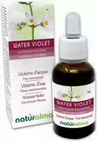 Naturalma Wasserfeder Hottonia Palustris Tropfen