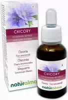 Naturalma Wegwarte Cichorium Intybus Tropfen