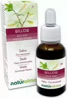 Naturalma Weide Salix Alba Var Vitellina Tropfen