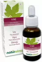 Naturalma Weinrebe Vitis Vinifera Tropfen