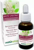 Naturalma Weiße Rosskastanie Aesculus Hippocastanum Tropfen 30 ml