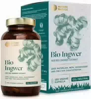 Nature Basics Hochwertiges Bio Ingwer Extrakt Vegan