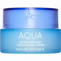 Nature Republic Super Aqua Max Fresh Watery Face Cream – Feuchtigkeit & Frische