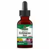 Natures Answer Echinacea Wurzel