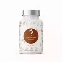 Naturvit Cordyceps Vitalpilz