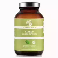 Ginkgo Biloba Extrakt 120 mg Kapsel 180 st