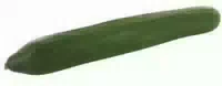 Bio Gurken