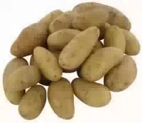 Bio Speisekartoffeln Inova Festkochend