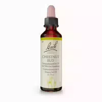 Bachblüten Chestnut Bud Tropfen 20 Ml