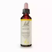 Bachblüten Gentian Tropfen 20 ml