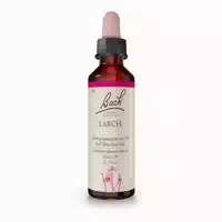 Bachblüten Larch Tropfen 20 Ml